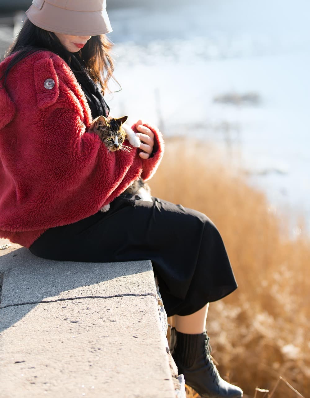 Saving Lives: Vital Role of Animal Shelters in Pet Rescue Efforts